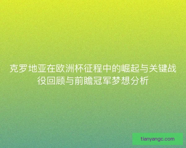 克罗地亚在欧洲杯征程中的崛起与关键战役回顾与前瞻冠军梦想分析
