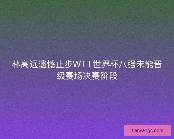 林高远遗憾止步WTT世界杯八强未能晋级赛场决赛阶段