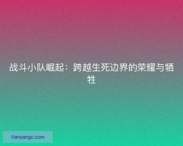 战斗小队崛起：跨越生死边界的荣耀与牺牲
