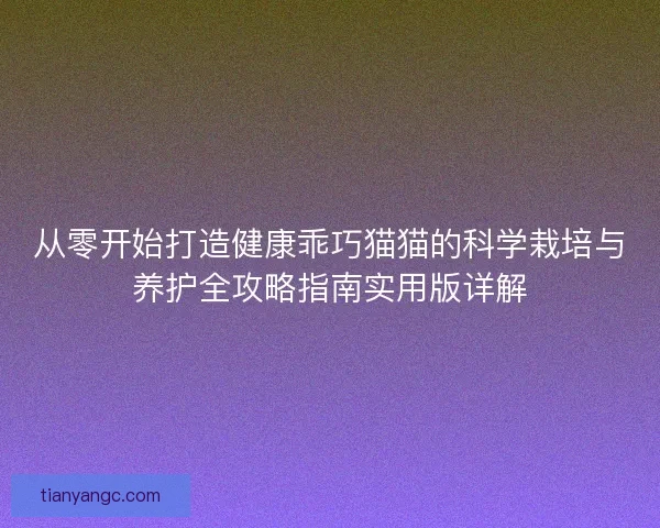 从零开始打造健康乖巧猫猫的科学栽培与养护全攻略指南实用版详解
