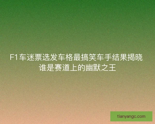 F1车迷票选发车格最搞笑车手结果揭晓 谁是赛道上的幽默之王 F1车迷票选发车格最搞笑车手结果揭晓 谁是赛道上的幽默之王
