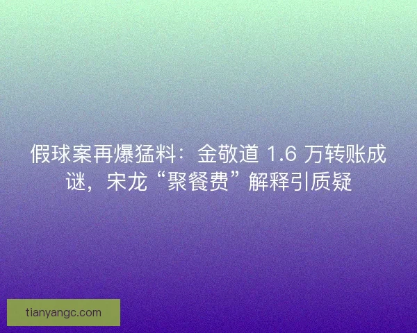 假球案再爆猛料：金敬道 1.6 万转账成谜，宋龙 “聚餐费” 解释引质疑