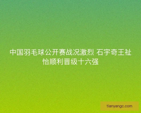 中国羽毛球公开赛战况激烈 石宇奇王祉怡顺利晋级十六强