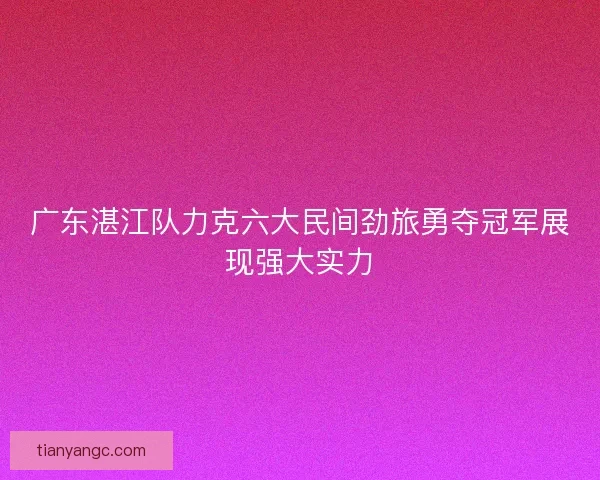 广东湛江队力克六大民间劲旅勇夺冠军展现强大实力